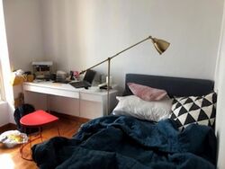 Oleander Towers (D12), Apartment #620091441